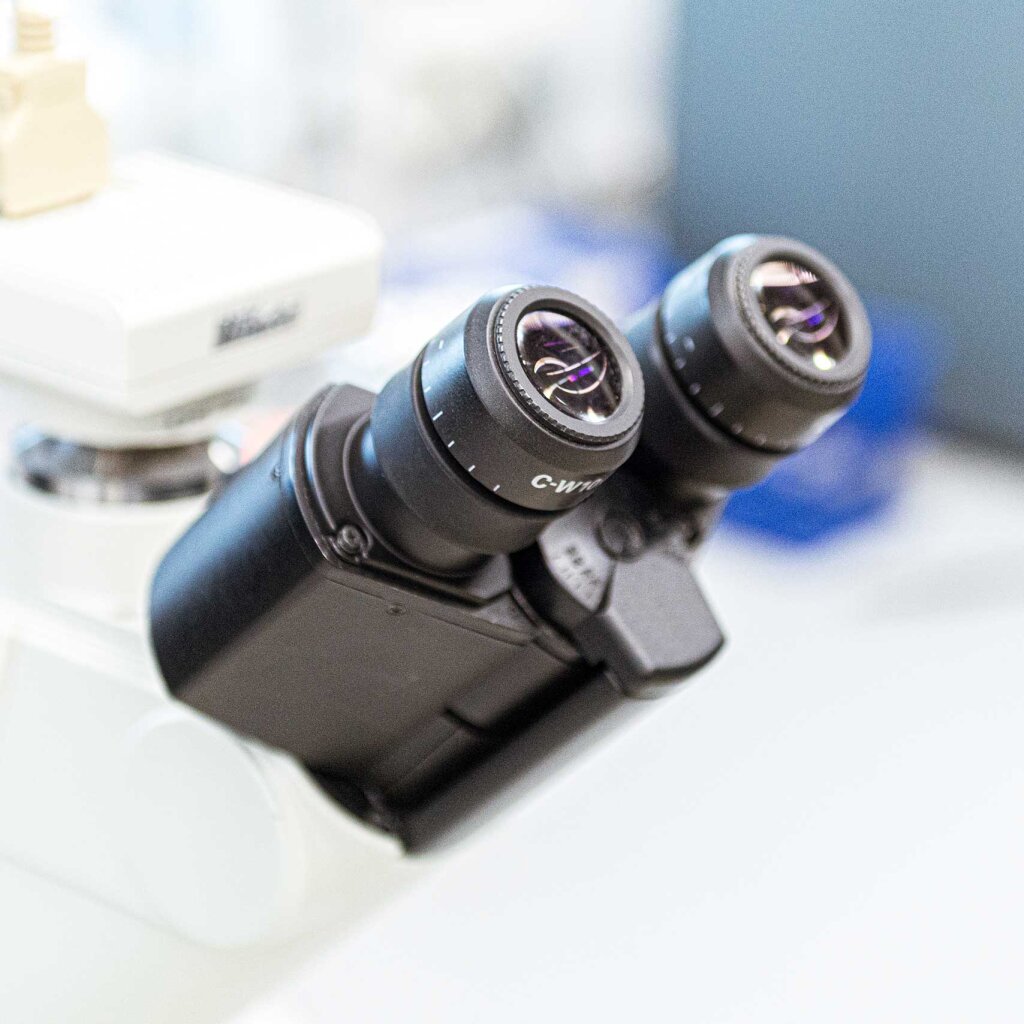 Microscope.